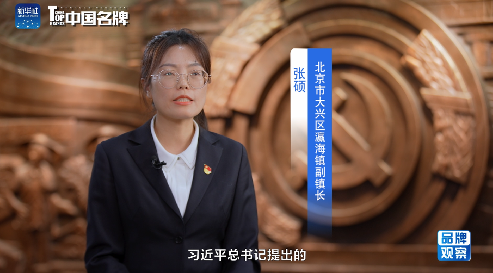 《品牌观察》北京大兴瀛海镇：“小网格”服务“大民生”