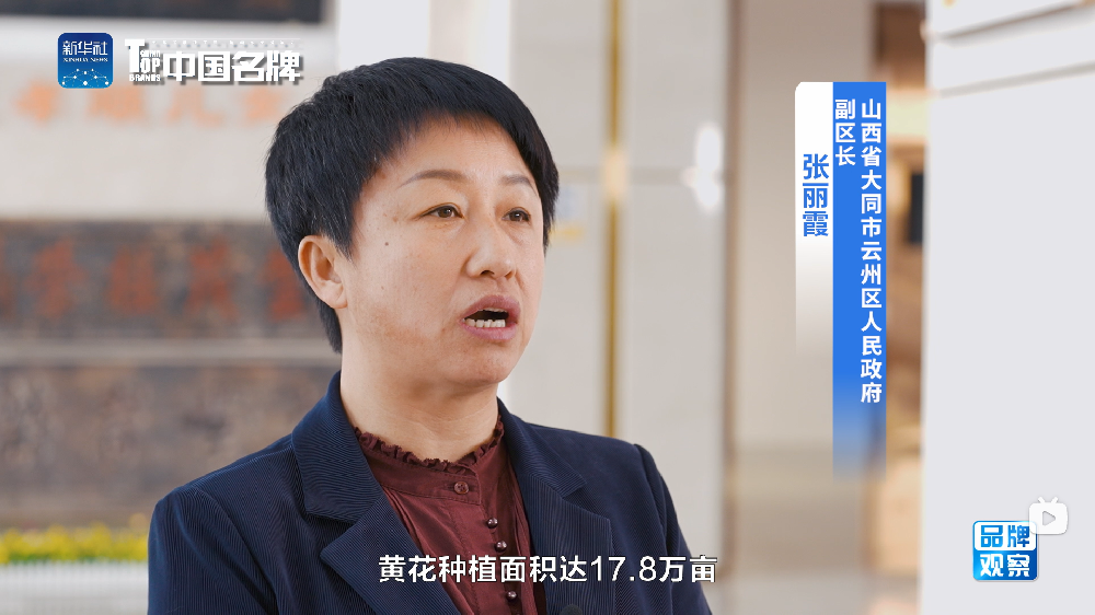 【品牌观察】山西大同云州区推动黄花产业赋能乡村振兴